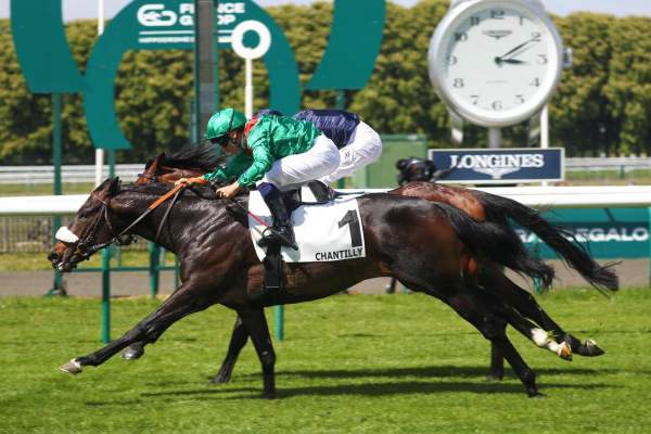 Dolmalan arrivée pmu Prix de Suresnes (L) à Chantilly
