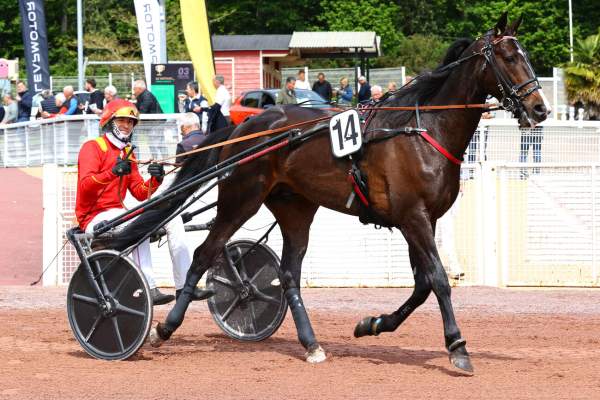 Karnac Wood Quinté+ Pmu Prix Ffb 53 (Prix Ozo) à Laval