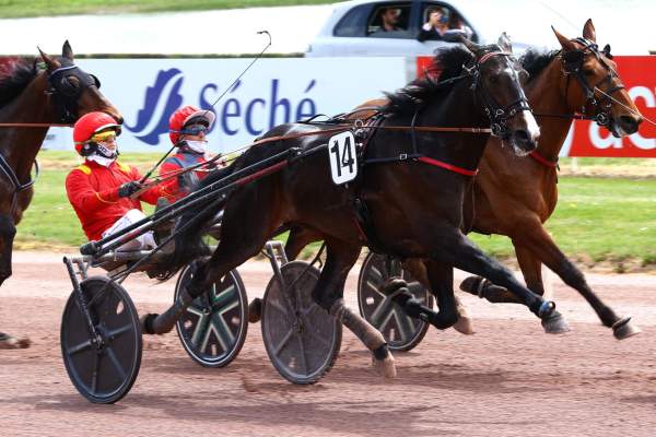 Karnac Wood Arrivée Quinté+ Pmu Prix Ffb 53 (Prix Ozo) à Laval