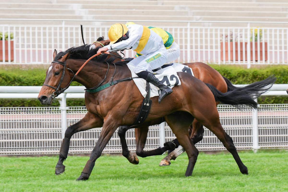 Résultat et rapports Quinté+ Pmu Prix Gaston Branere à Auteuil le 13/04 ...