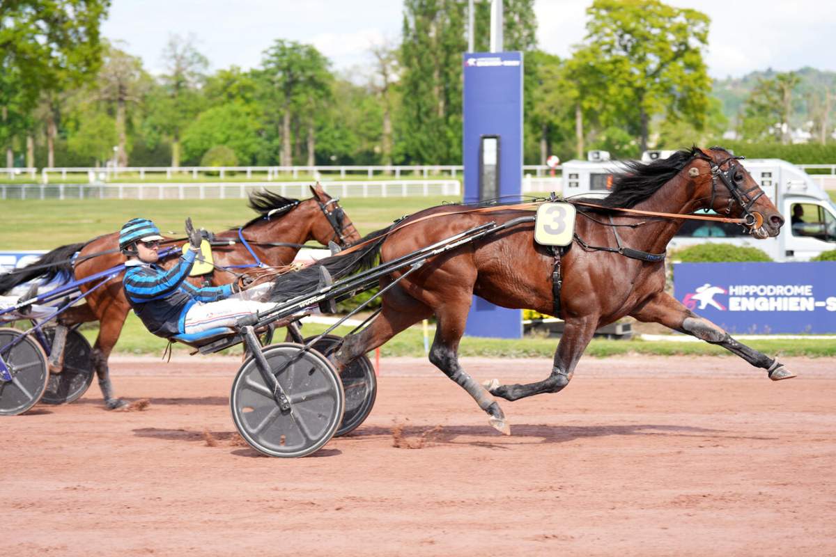 Elitloppet 2026 Dimanche 31 Mai Solvalla Un Trio De Choc Pour La Elitloppet 2026 Dimanche 31 Mai Solvalla Un Trio De Choc Pour La