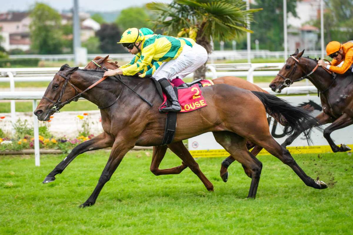 Pronostic du 104e Grand Prix de Bordeaux (4e étape du Défi du Galop ...