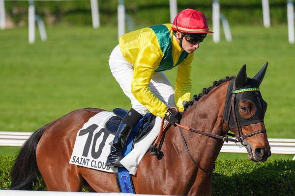ALBERTINE
