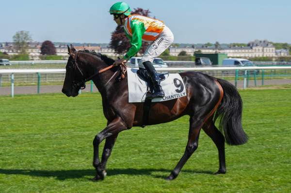 VENT D'OR