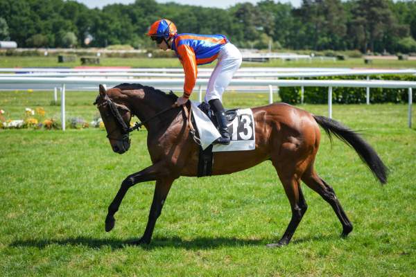 GRECIAN STAR