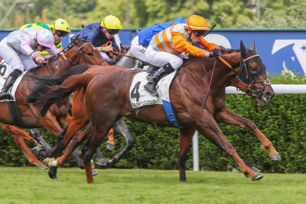 Must Bay Arrivée Quinté+ Pmu Prix de Beaumesnil à Saint Cloud
