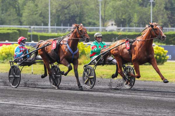 Mentor De Play arrivée pmu Prix du Vauclude (Gr.III) à Paris-Vincennes