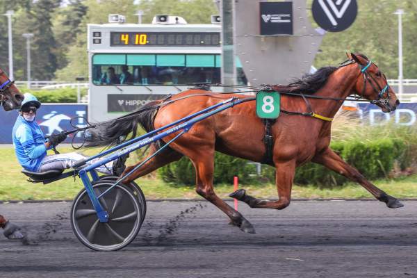 Liberte De Choisel arrivée pmu Prix Albert Demarcq (Gr.II) à Paris-Vincennes