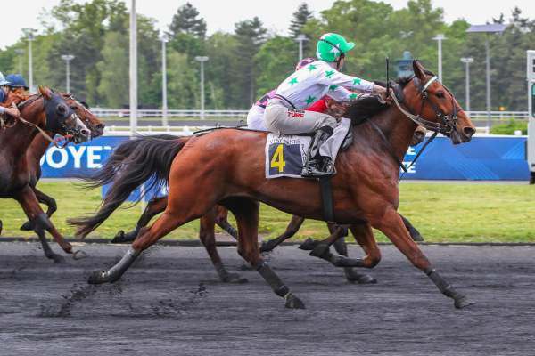 Jacaranda arrivée pmu Prix Roger Ledoyen (Gr.III) à Paris-Vincennes