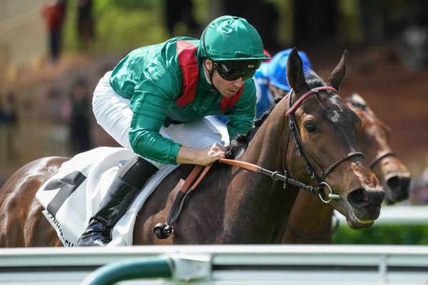Behrayna Arrivée PMU Prix de la Seine 2026 à ParisLongchamp