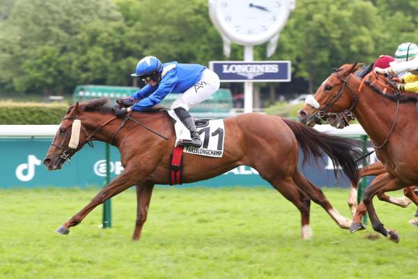 Wedgewood Pearl Arrivée Quinté+ Pmu Prix du Palais Bourbon à Longchamp