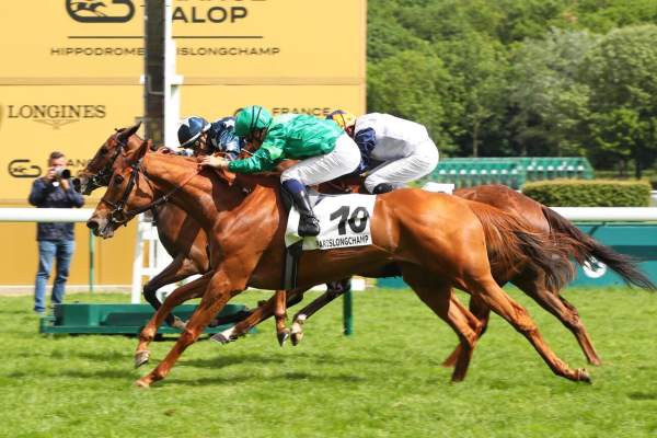 QUEST FOR MAGIC arrivée pmu Prix Gold River (L) à ParisLongchamp