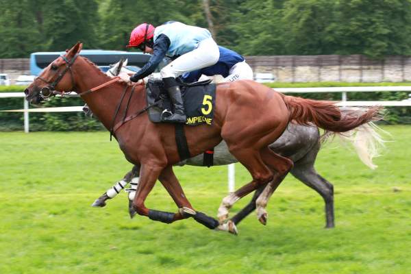 Jaguar Du Berlais arrivée pmu Prix Romati (Gr.III) à Compiègne