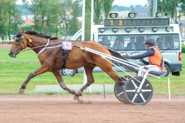 Istoric Mauzun Arrivée Quinté+ Pmu Prix Henri Berry à Vichy