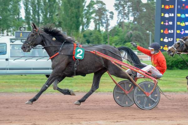 IF DE LA COUDRE