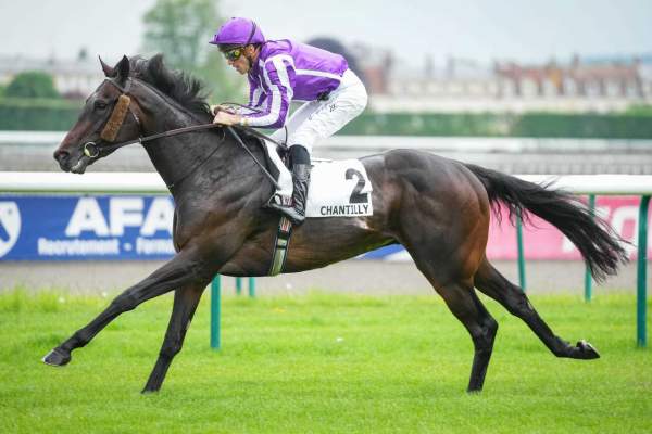 Hawk Mountain arrivée pmu Prix de Guiche (Gr.III) à Chantilly