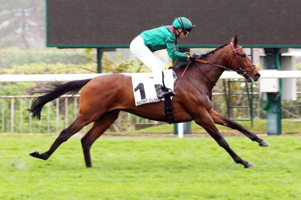 La photo de Daryzan