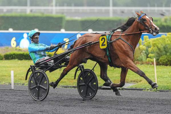 MELOPE DU GOUTIER