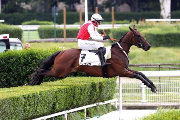 MAGOT DE L'ISLE
