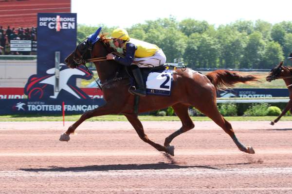 Nautilio Bello arrivée pmu Prix Pierre gamare Etrier 3 ans Q5 à Caen