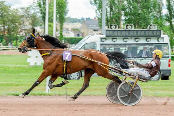 Kelcanto Bello arrivée Quinté+ pmu Prix de Marigny à Vichy