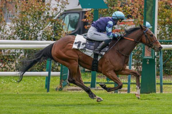 Royalwood Arrivée Quinté+ Pmu Prix De Montagny à Chantilly