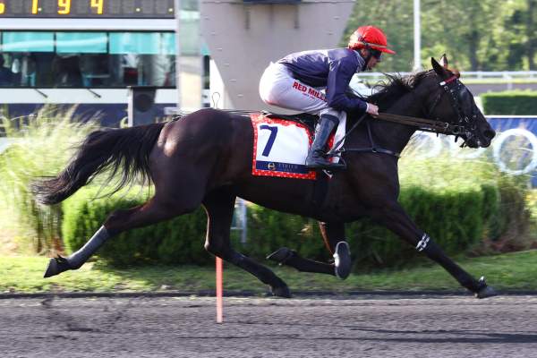 Liberte Du Goutier arrivée pmu Prix Jean Gauvreau (Gr.II) Etrier 5 ans Q2 à Paris-Vincennes