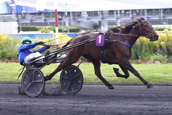 MALICE DU CHATAULT