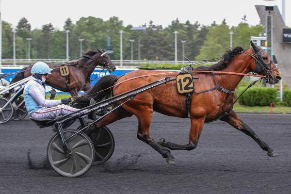 Lord Delo Arrivée Quinté+ Pmu Prix Du Perreux à Paris-Vincennes