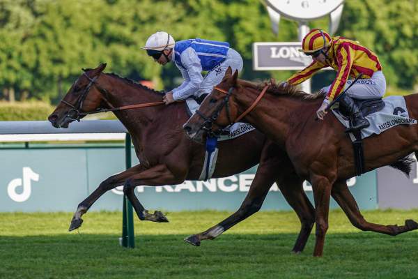 Rumoriste Arrivée du Prix de l'Avre à ParisLongchamp