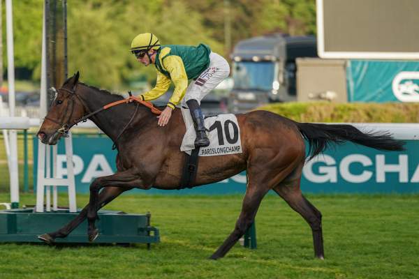Freja Arrivée Quinté+ Pmu Prix Du Palais Des Glaces à Longchamp