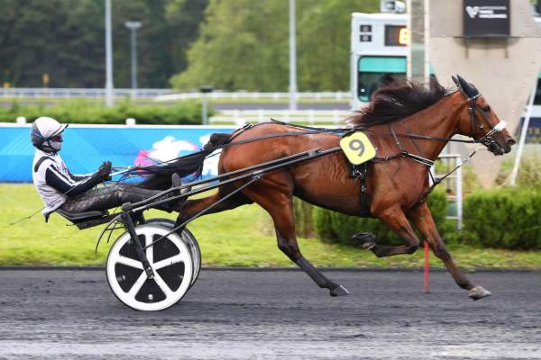 La photo de Max Occagnes