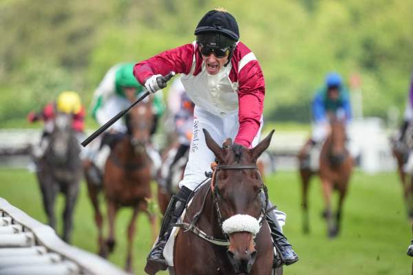 French Lover Arrivée Quinté+ Pmu Prix Le Parisien (Prix Le Gualès De Mézaubran) à Auteuil