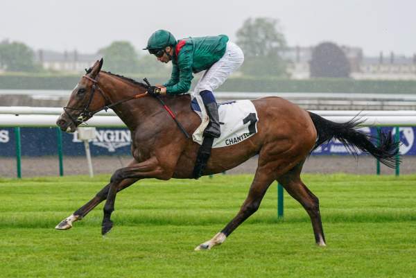 Zayida arrivée pmu Prix de Finlande (L) à Chantilly