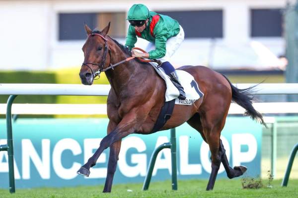 Daryz Arrivée du Prix Aga Khan IV - Prix d'Ispahan 2026 à ParisLongchamp