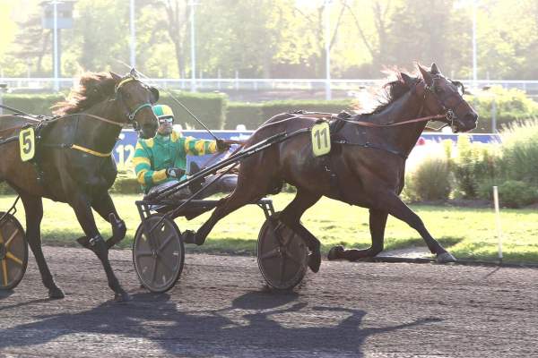 La photo de Iris Des Roseaux