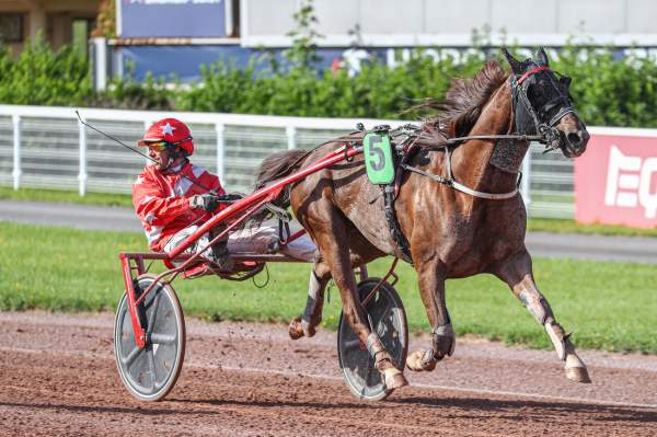LULU DES CARREAUX