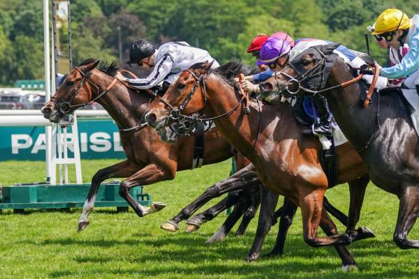 Pure Legend arrivée Quinté+ pmu Prix de l'Orangerie à ParisLongchamp