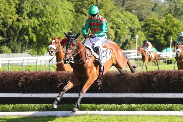 RAFFLES JET