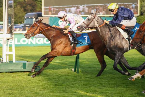 Box Officer arrivée Quinté+ Prix des Epinettes à Paris-Longchamp