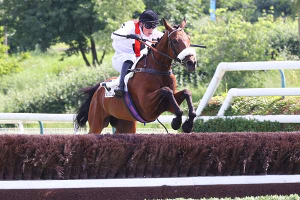 Sundays Child arrivée pmu Prix La Perichole (Gr.III) à Auteuil