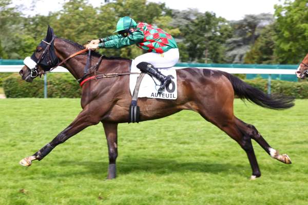 Maharaja arrivée pmu Prix Questarabad (Gr.III) à Auteuil