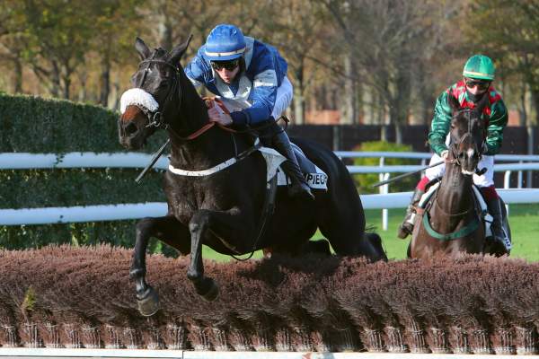 GENTEEL STAR