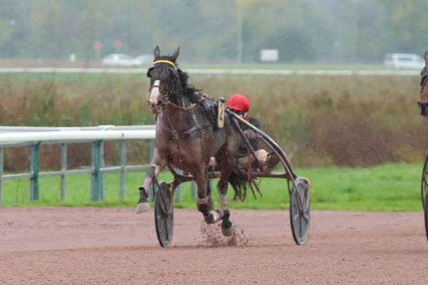 LASCAR D'ENFER