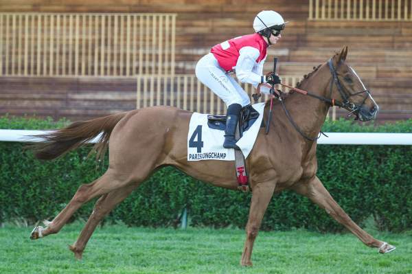 SPLENDINO