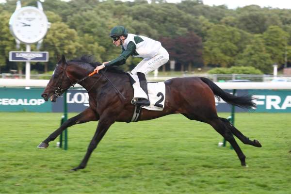 HERCULE STAR