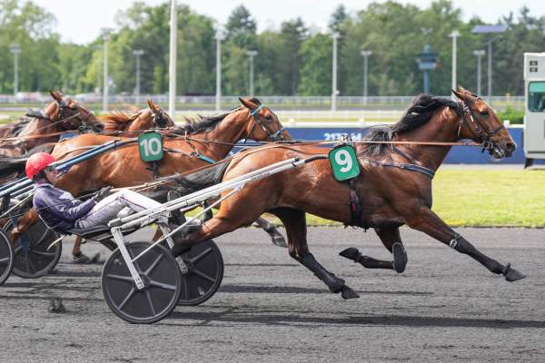 La photo de Lancier Du Goutier