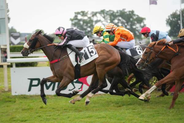 Ram Sea arrivée Quinté+ pmu Prix Anjou Loire métropole à Angers