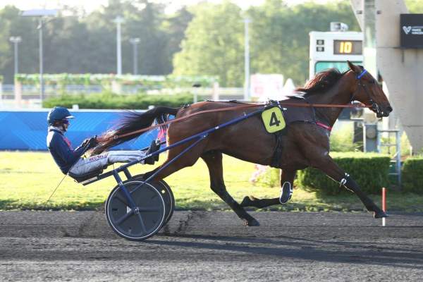 La photo de Jolie Star