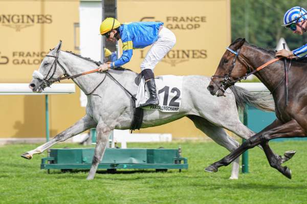 GREY REIGN